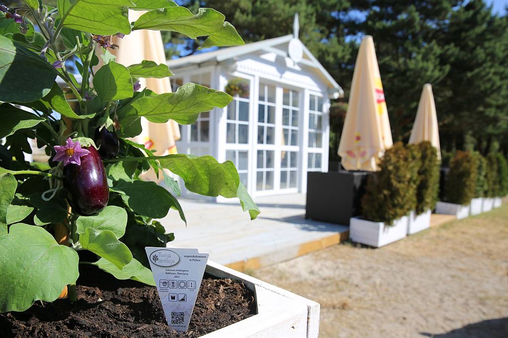 Havet Resort & Spa - Hotel in den Dünen der Ostsee