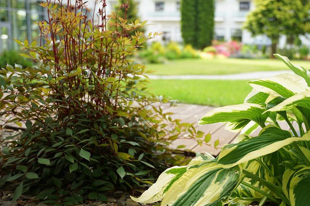 Koral Live - Bestes Hotel in Kolberg und gute Preise